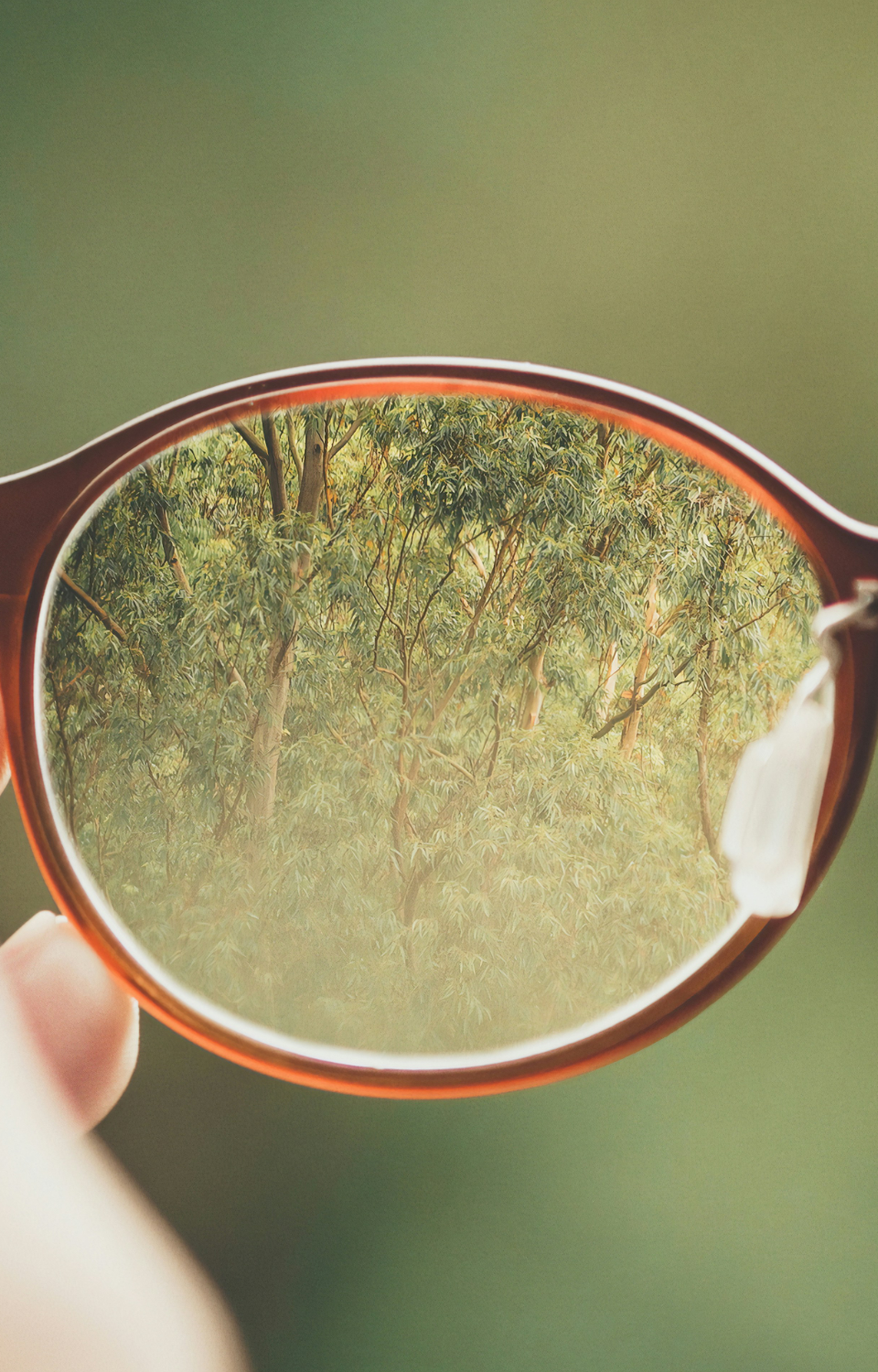 Danielle Barbereau - Divorce Coaching